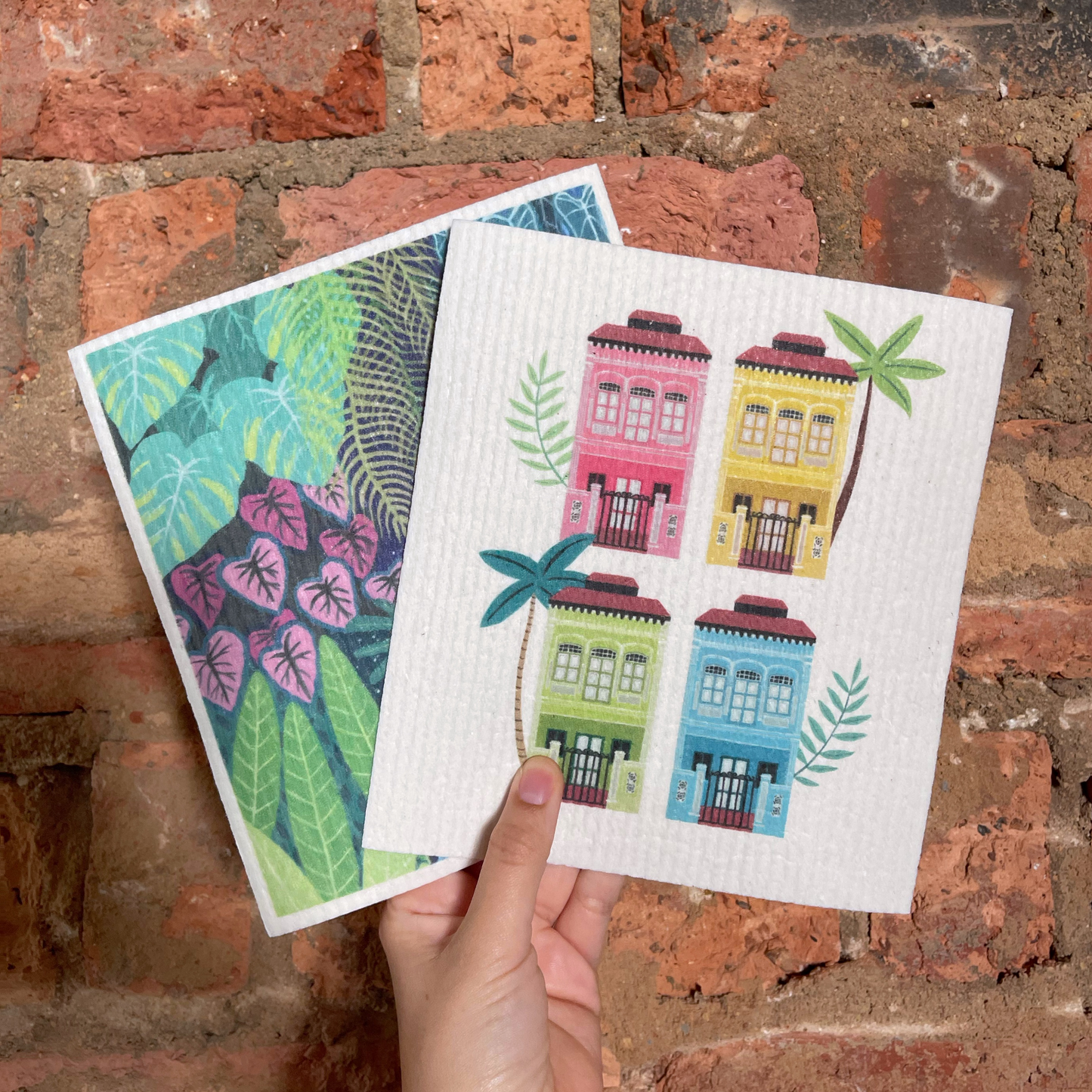 Singapore Shophouse Party and Singapore Cloud Forest Cellulose Dish Cloth