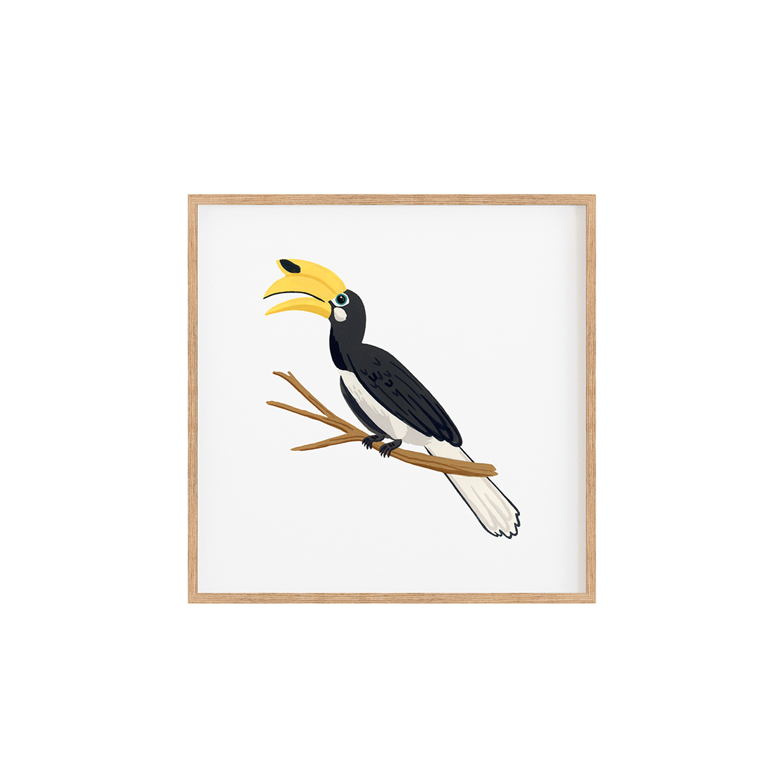 A framed hornbill fine art print